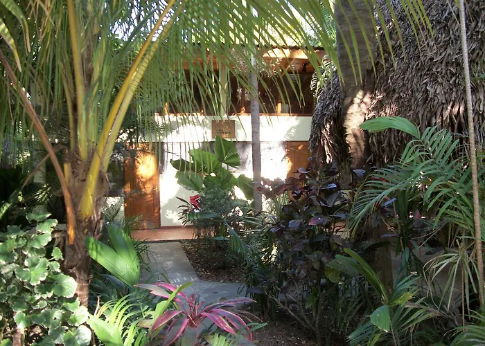 Paradise *